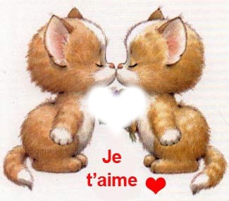 chat mignon Photo frame effect