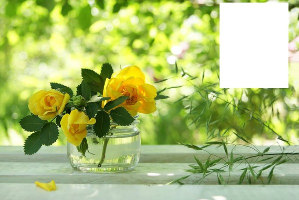 Roses jaune Fotomontáž