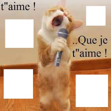 chat que je t'aime Photo frame effect