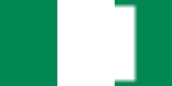 Nigeria flag Fotomontaža