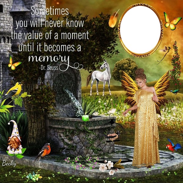 sometimes you never know the value of a moment Montage photo