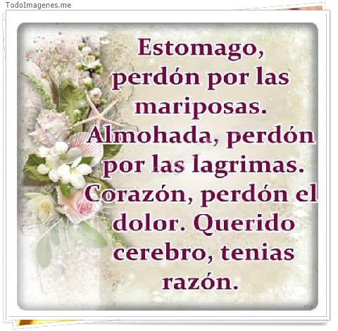 FRASES CON FOTO Photo frame effect