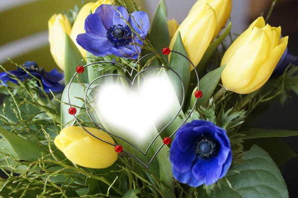 Bouquet de Tulipes Photomontage