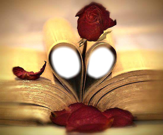 livre coeur rose Fotomontáž