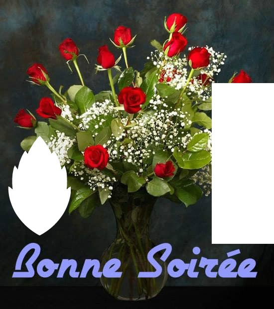 bONNE SOIREE Fotomontage