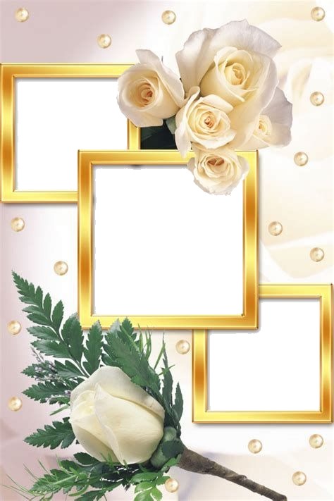 marco para 3 fotos y rosas blancas. Fotomontaža