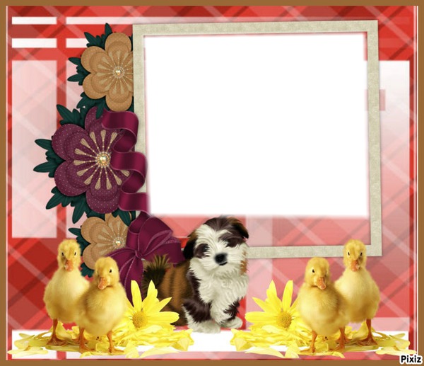 cadre animaux Photo frame effect