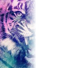 Tigre De Colores Montaje fotografico