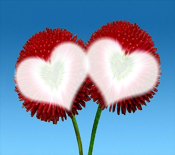 Blume Herz -- Blume Herz Fotomontage