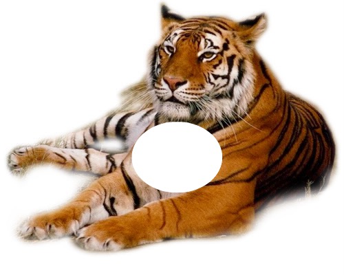 el salto del tigre Fotomontage