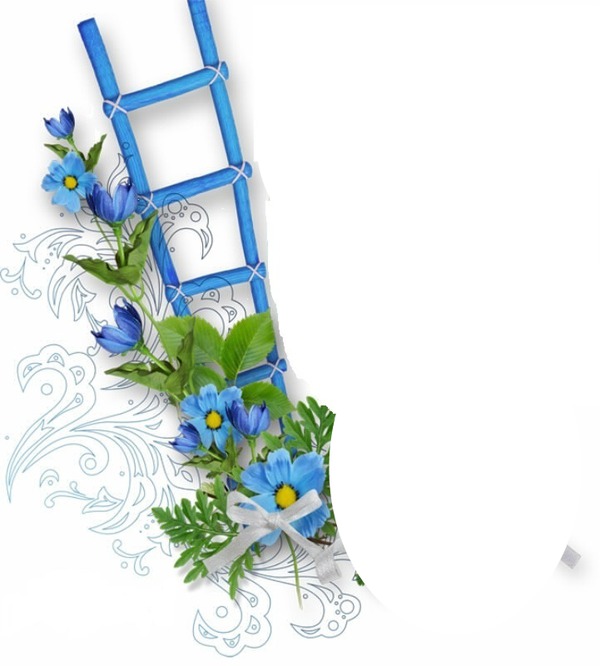 fleurs bleues Fotomontage