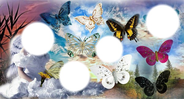 papillons Photomontage