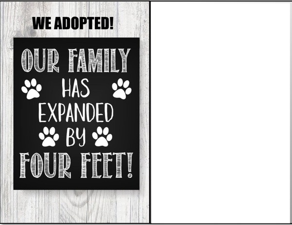 we adopted announcement Montage photo