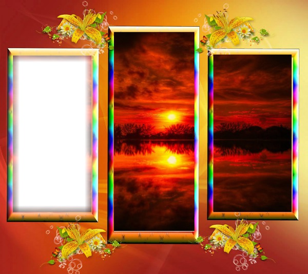 Cadres nature Photo frame effect
