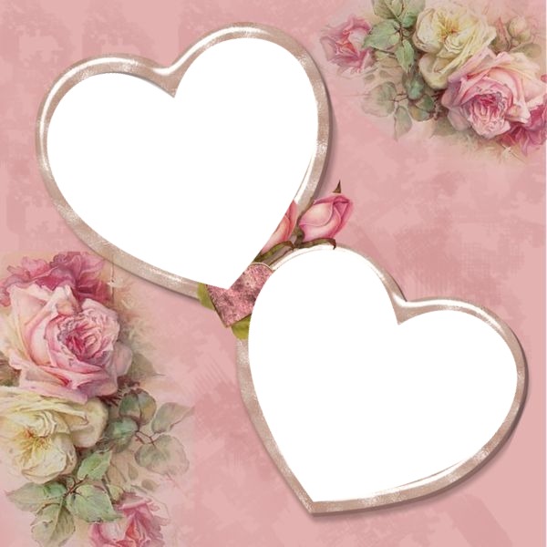 corazones en fondo y rosas rosadas. Photo frame effect