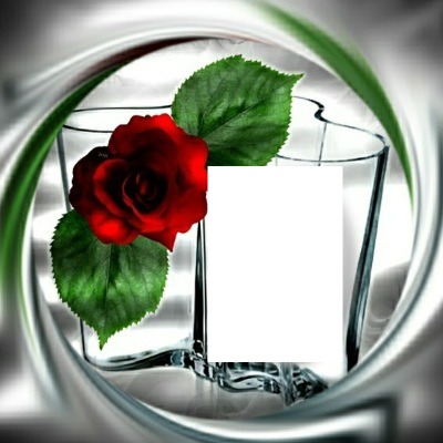 Rose Photo frame effect