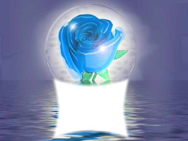 Rose bleue Photomontage