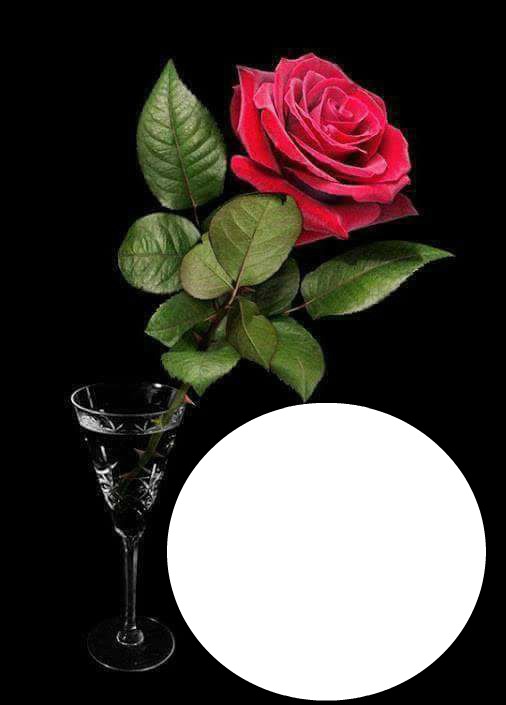 Rosa Roja Fotomontaż