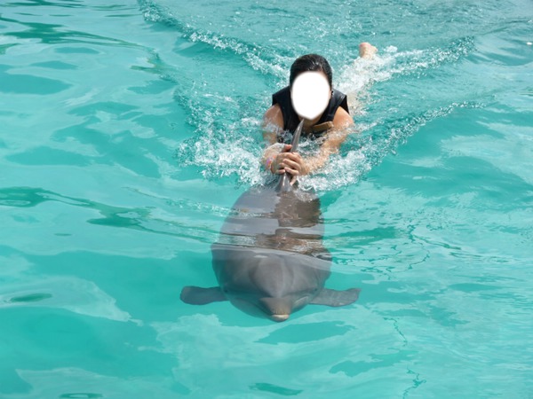 delfin Fotomontaż