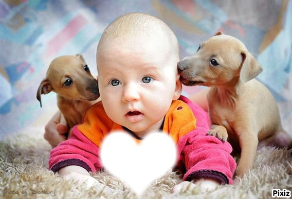 des petit chien avec un bebe Fotomontage