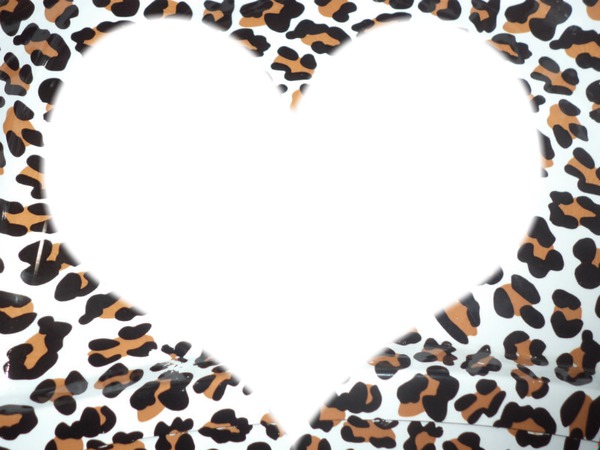 Amor por el leopardo Montage photo
