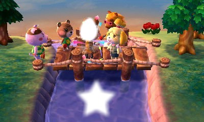 Animal Crossing 3DS Montage photo
