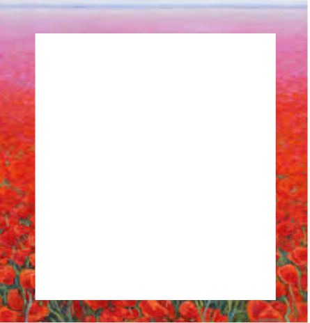 coquelicot gm Photo frame effect