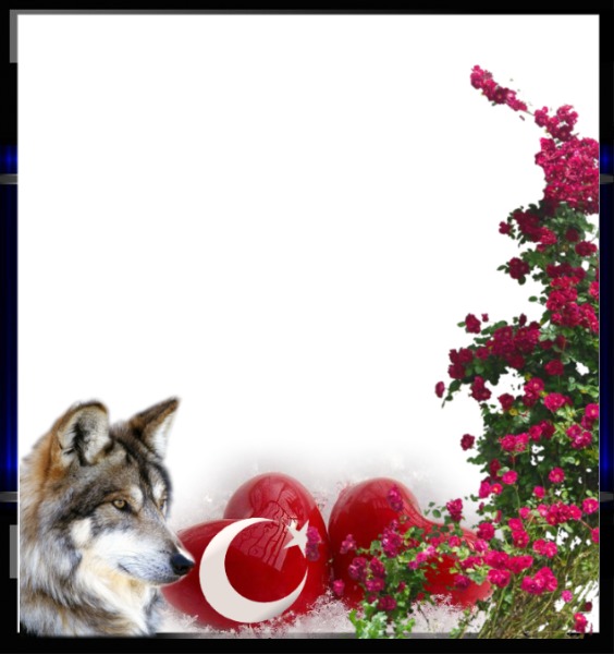bozkurt türk bayrağı kalp bayrak Fotomontage