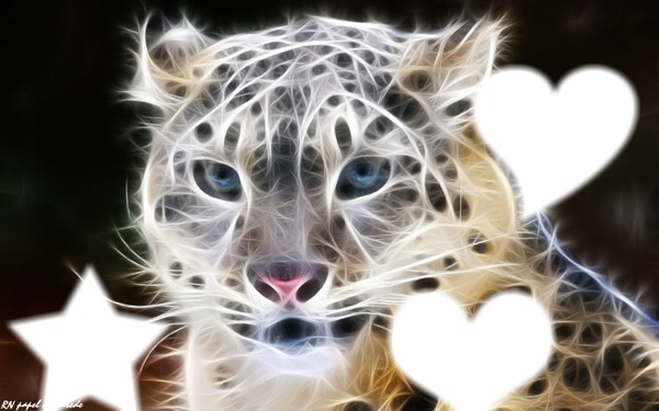 blend tigre Fotomontasje