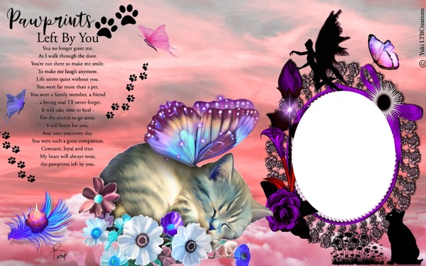 Paw Prints Design Template Pixiz