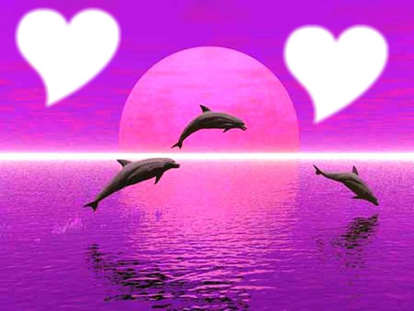 j'ador les dauphin 2 photo フォトモンタージュ