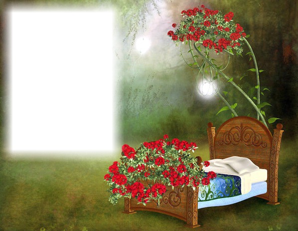Lit - dormir - fleurs rouges Fotomontage