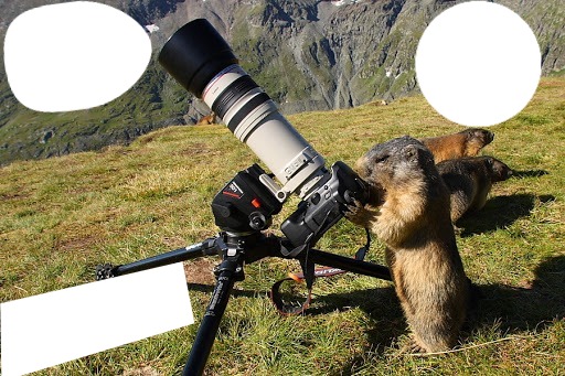 marmotte Montaje fotografico