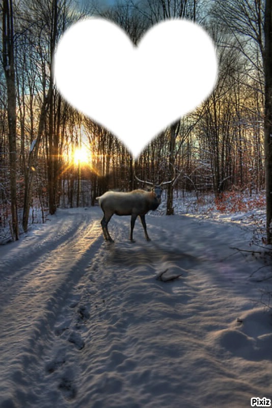 coeur d'hiver Fotomontage