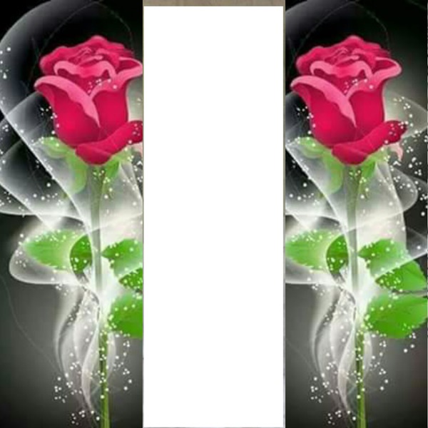 2 rosas con foto Photomontage