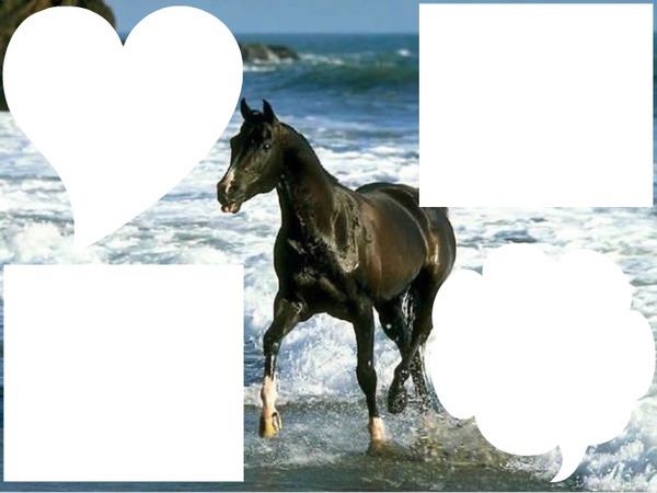 cheval à la mer Photomontage