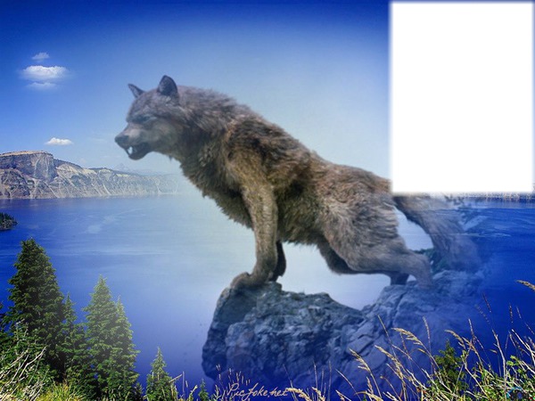 wolf Fotomontagem
