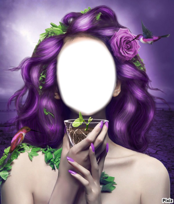Féérie violette Fotomontage