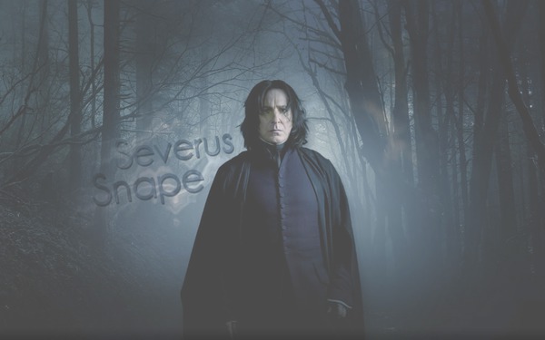 Snape's last sacrifice Fotomontagem