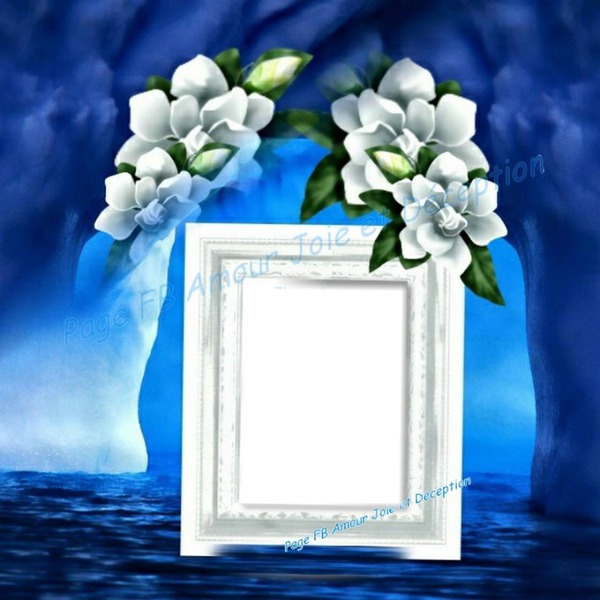 Cadre et fleurs Photo frame effect