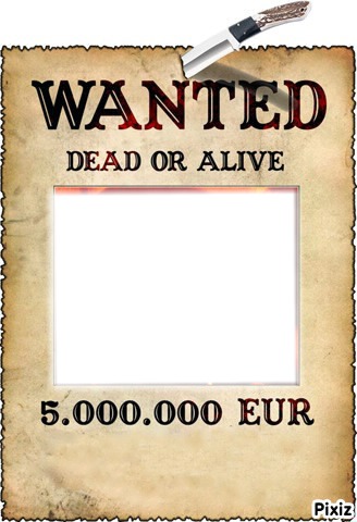 WANTED Montage photo