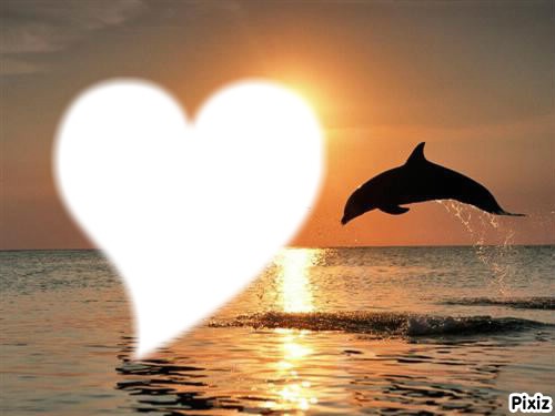 dauphin soleil Фотомонтажа