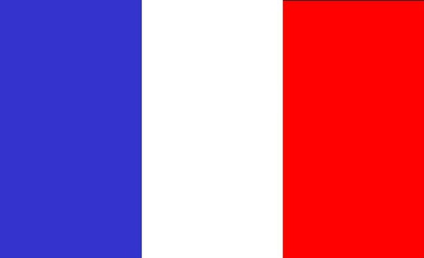 drapeau français Photo frame effect