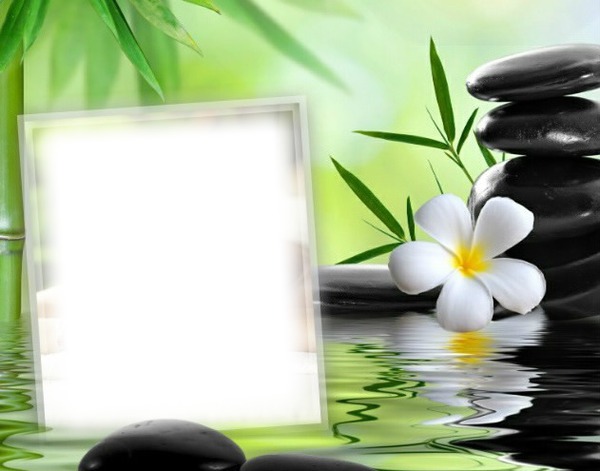 Cadre zen - fleur - pierres - verdure Photomontage