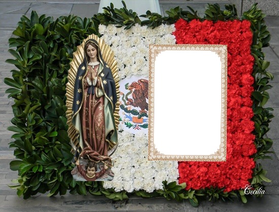 Cc Virgen de Guadalupe Montaje fotografico