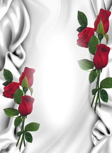 Roses rouge Фотомонтаж