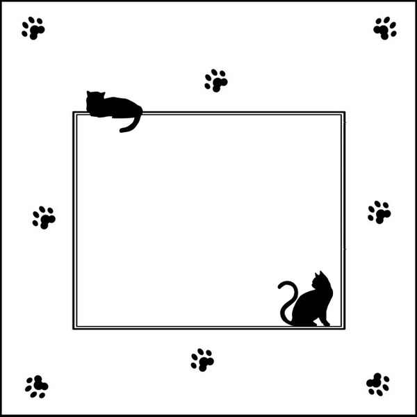 marco huellitas y gatitos negros. Fotomontagem