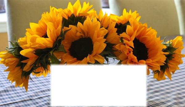 bouquet soleil** Fotomontage