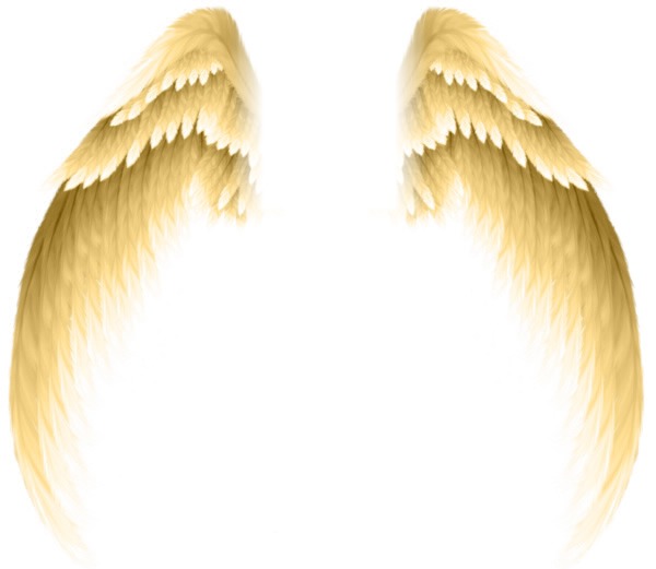 Angel-1 Photomontage