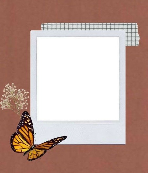 marco y mariposa para una foto. Fotómontázs